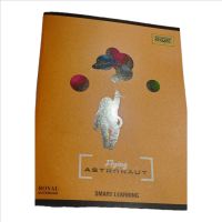 172 pages hindi science notebook