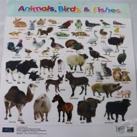 Animals, birds, fishes and wild animals chart