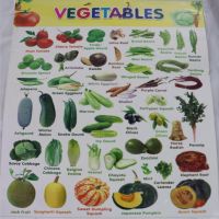Vegetables name chart