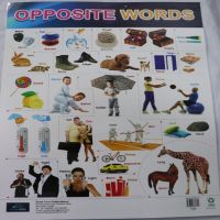Opposite words and action words